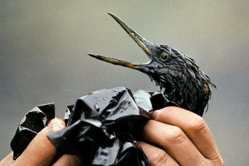 Exxon Valdez crashes in Alaska, creates massive oil spill – Chicago Tribune